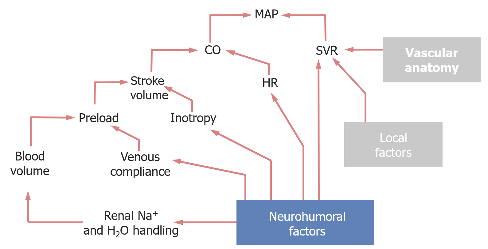 Fluid Replacement: Mind the MAP